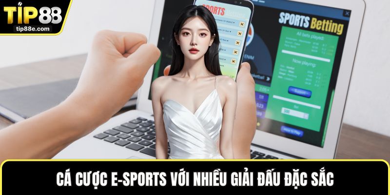 Cá cược E-sports với nhiều giải đấu đặc sắc