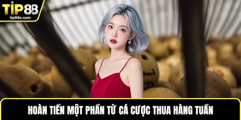 Hoàn tiền một phần từ cá cược thua hàng tuần